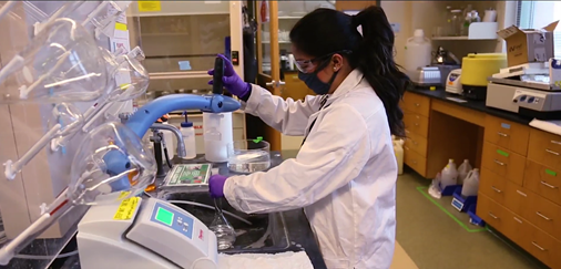 photo: Woman working in laboratory